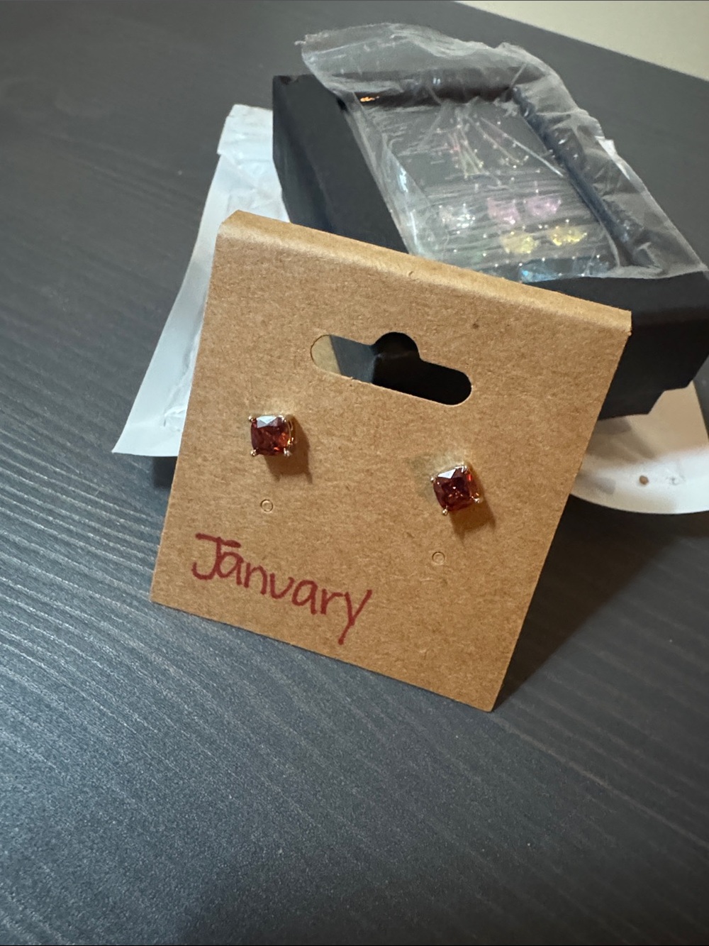 January - Ivy Sharpe Silver Plated Birthstone‎ Cubic Zirconia Stud Earrings NEW